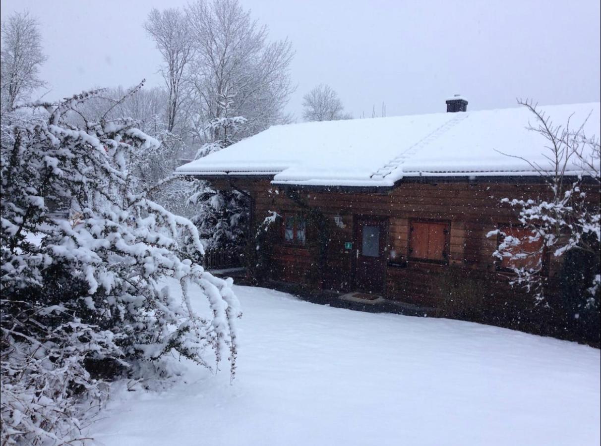 Ferienhaus Schlagintweit Drachselsried Extérieur photo