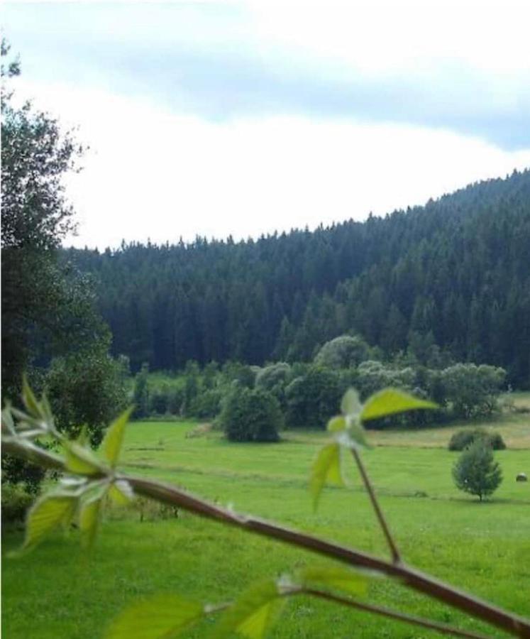 Ferienhaus Schlagintweit Drachselsried Extérieur photo